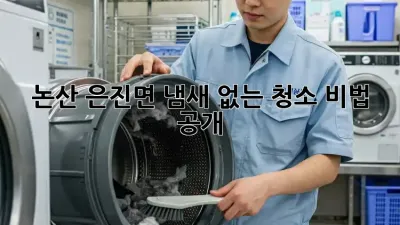 논산 은진면 냄새 없는 청소, 비법 공개!